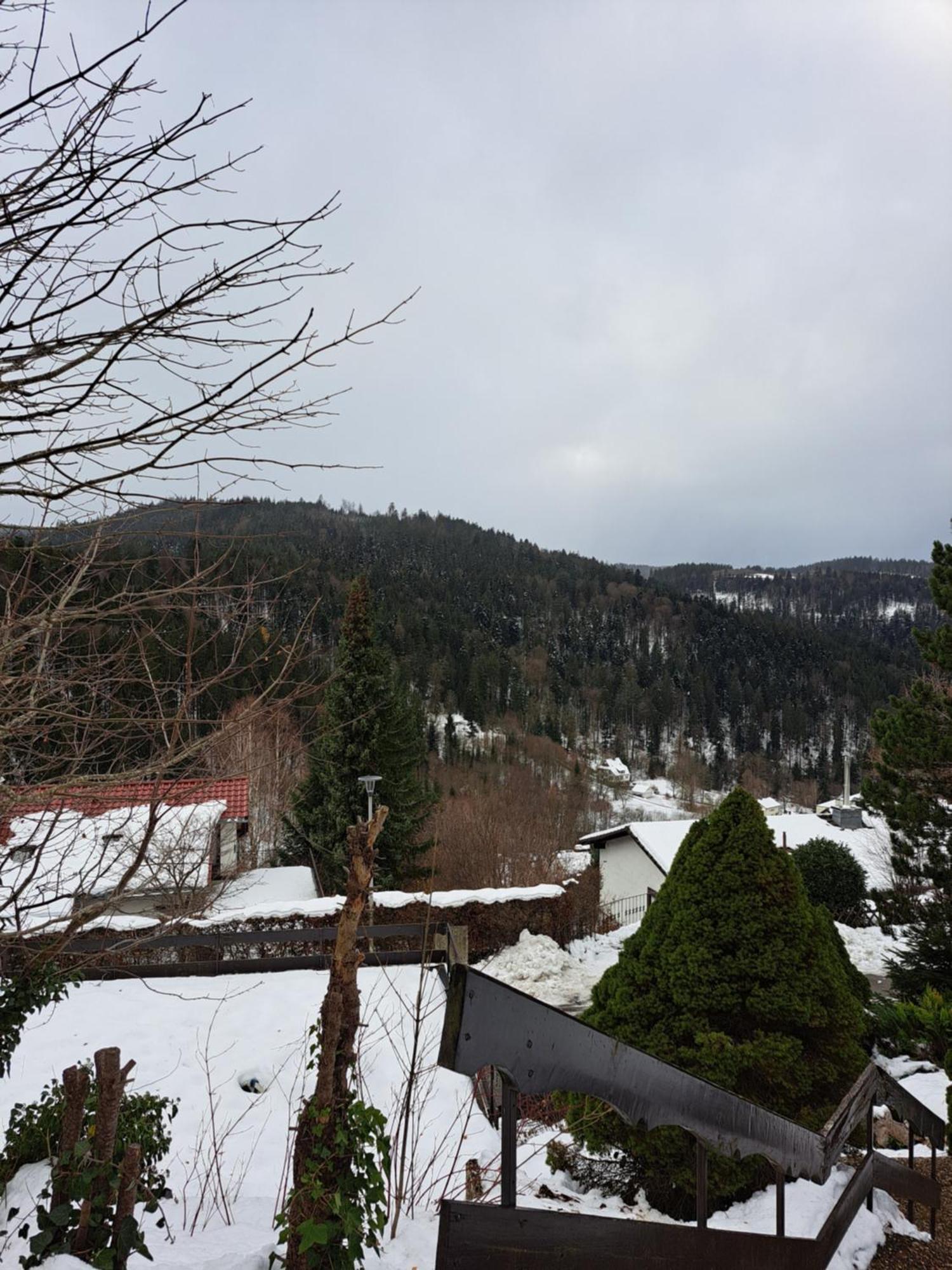 Grosse Ferienwohnung In Ruhiger Lage Mit Toller Aussicht In Triberg Triberg im Schwarzwald Екстериор снимка