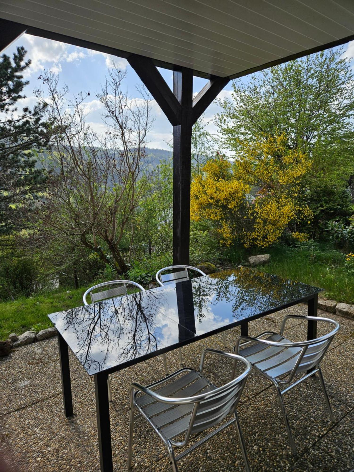 Grosse Ferienwohnung In Ruhiger Lage Mit Toller Aussicht In Triberg Triberg im Schwarzwald Екстериор снимка